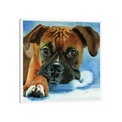 Boxer Baby by Rachel Parker - Painting on Canvas