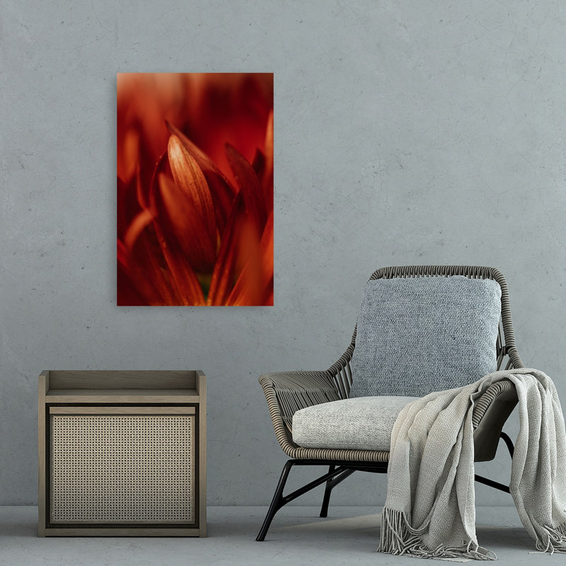 Soft Crimson Petals Elegant Organic Romantic Chrysanthemum Dahlia Autumn Flower Wall Art Print 1 Piece Wrapped Canvas Wall Art