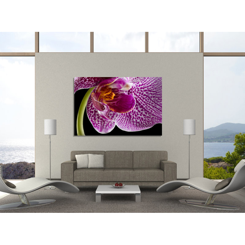 Purple Orchid 2 by Barry Seidman - Wrapped Canvas Print, 81cm H x 122cm W x 4cm D