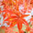 Autumn Maple Artificial Fall Tree In Plastic Pot-1971623971