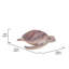 GRANDE TORTUE DE MER