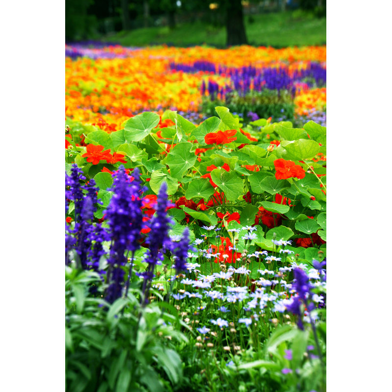 Flower Bed - Photographie sur toile tendue, H 18 po x l 12 po