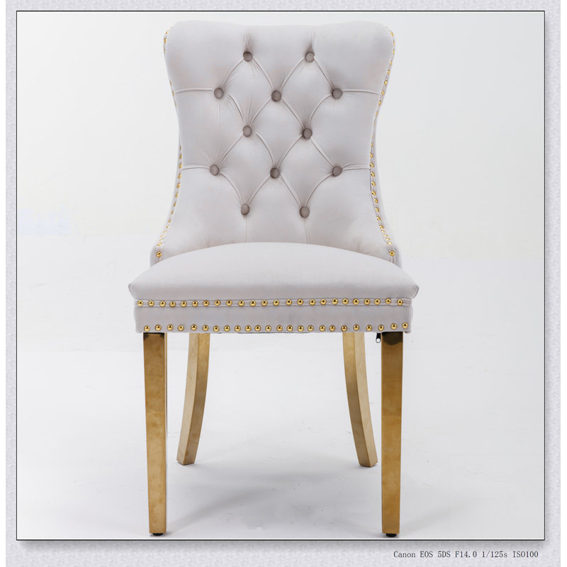 Chaise rembourrée haut de gamme en bois massif et en velours, Naturel, Beige