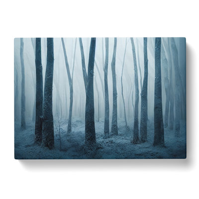 Tremendous Winter Forest - Wrapped Canvas