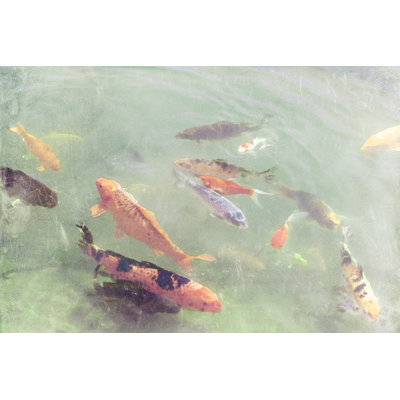 Koi Reflections II by Alicia Ludwig - Wrapped Canvas Print
