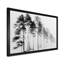 «Black and White Tall Pine Tree Forest», reproduction d'art sur toile-1384428757-1384428759-1384428763