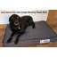 Orthopedic Polyester Pet Bed-64106107-64106111