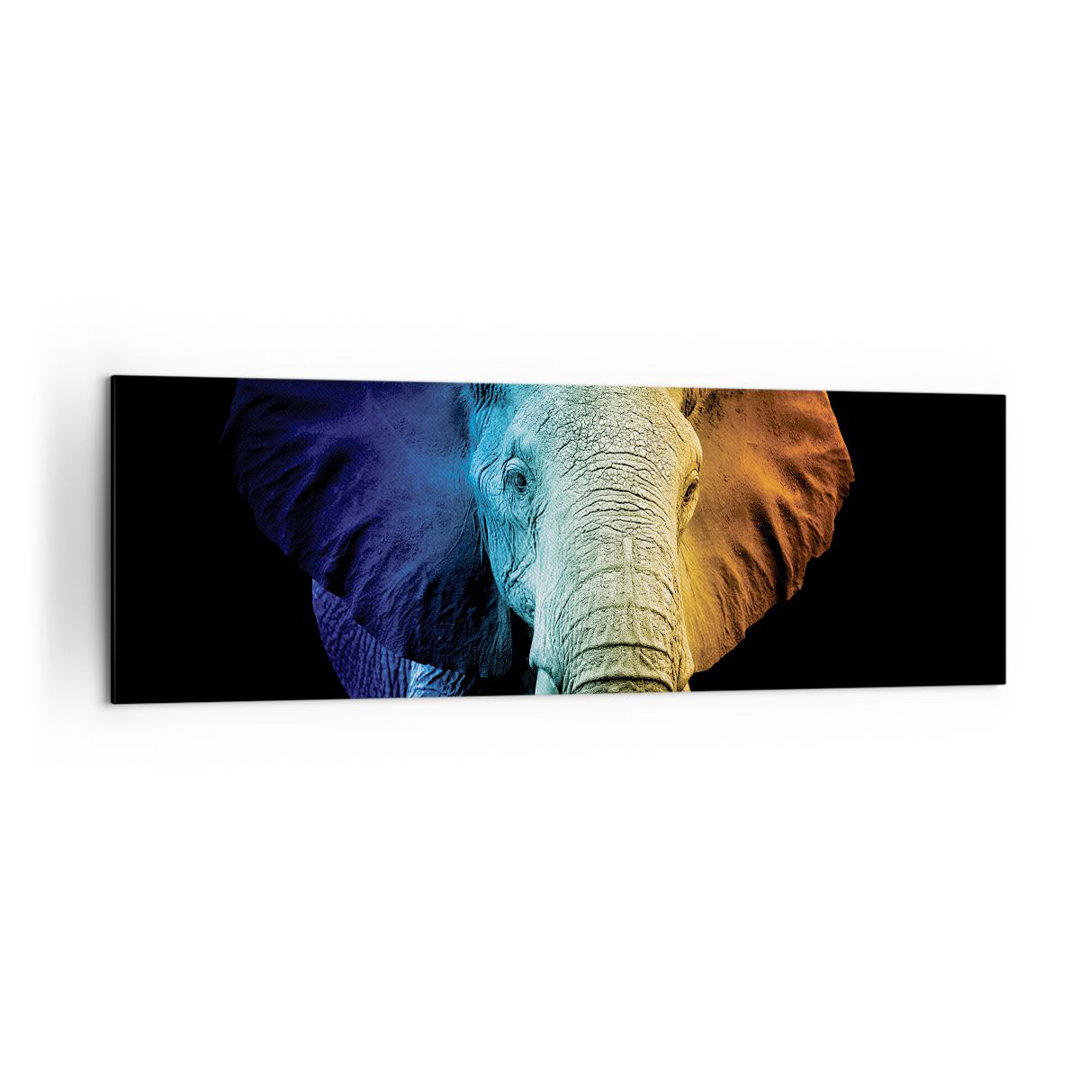 Leinwandbild Colorful Elephant