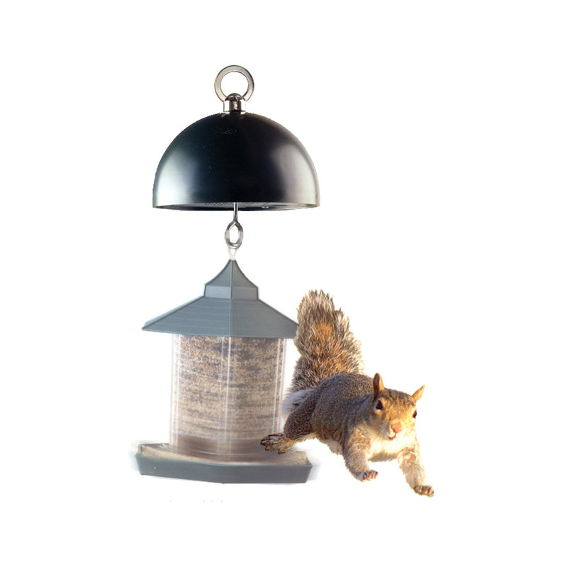Squirrel Guard