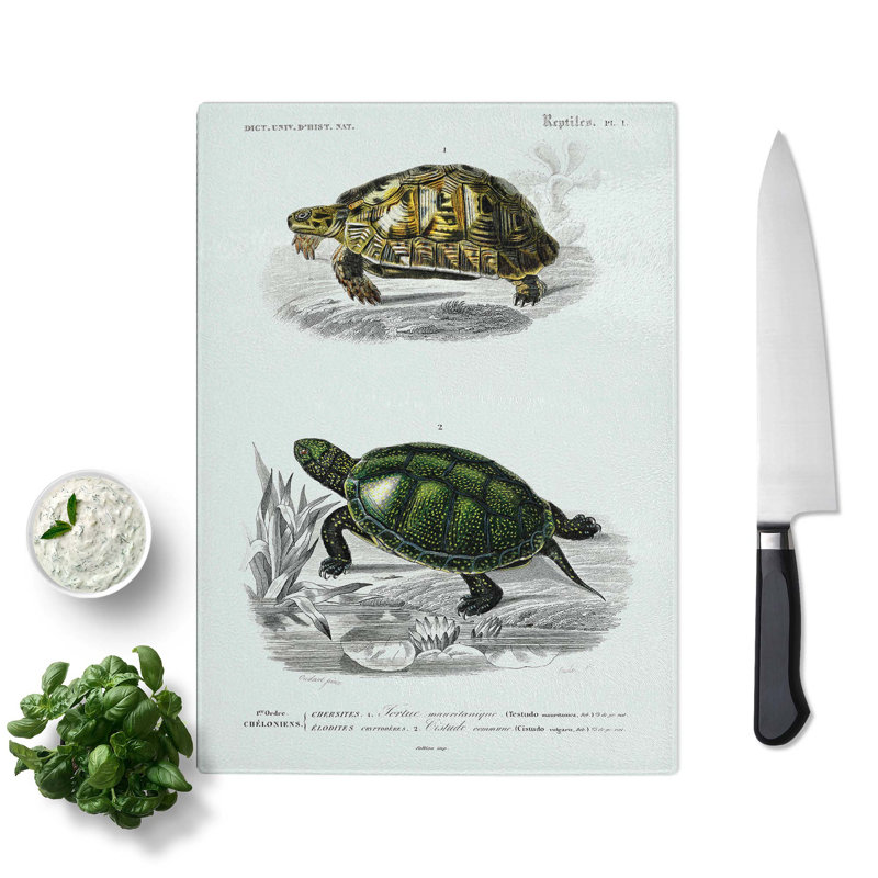 Tempered Glass Tortoise and Turtle Illustrations PL. 1 by Charles D' Orbigny Chopping Board, 20cm W x 28.5cm L