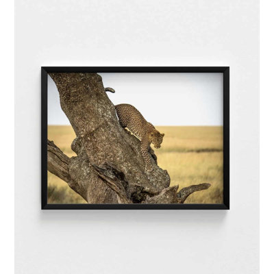 Reproduction de photo de léopard - Serengheti, faune de Tanzanie