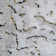 Claysville Abstract Area Rug