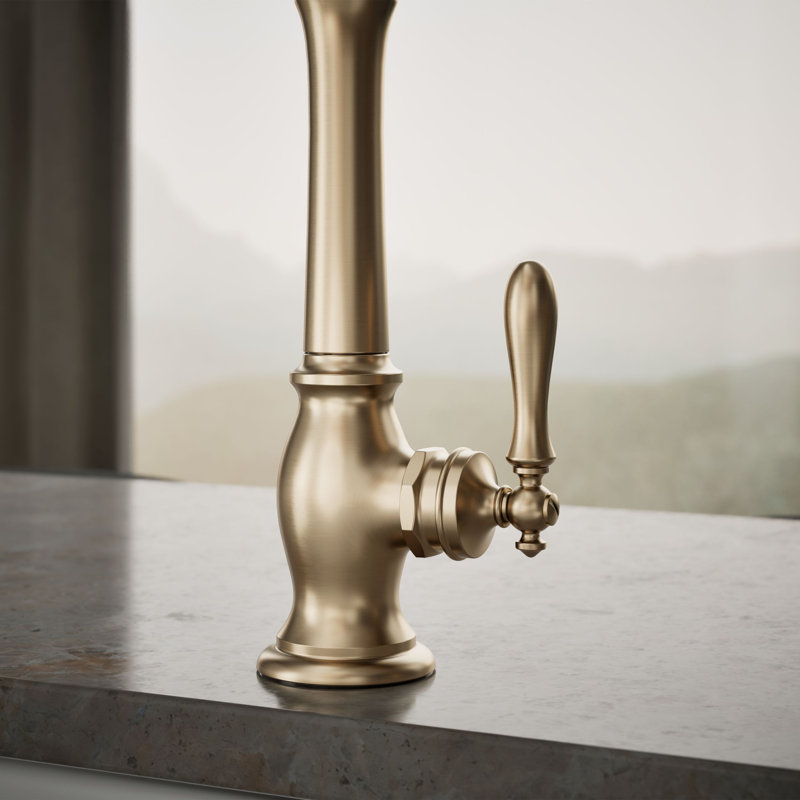 Artifacts Single Handle Kitchen Sink Faucet with Accessories, Vibrant Brushed Bronze