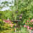 Stone Rust Resistant and Weather Resistant Hanging Decorative Bird Feeder