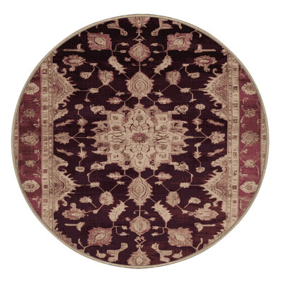 Machine Washable Overdyed Brown Area Rug
