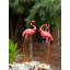 FLAMINGO LUMINEUX DEBOUT