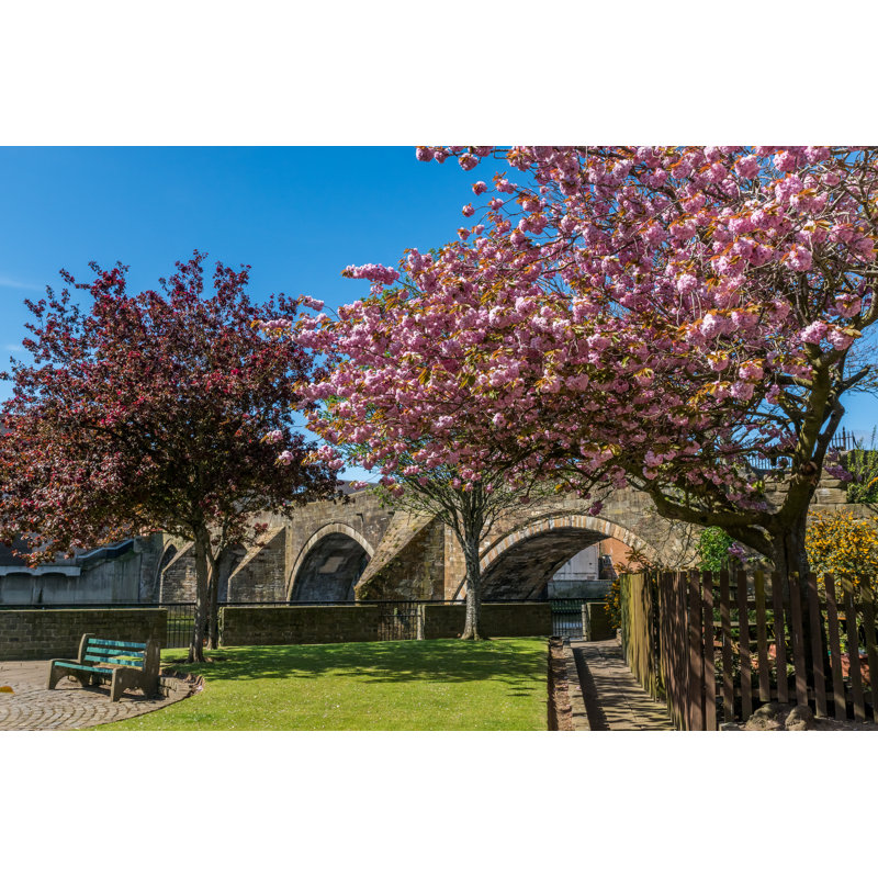 Ayr Auld Brig And Blossoms by Colin_Hunter - Wrapped Canvas Print, 30cm H x 46cm W