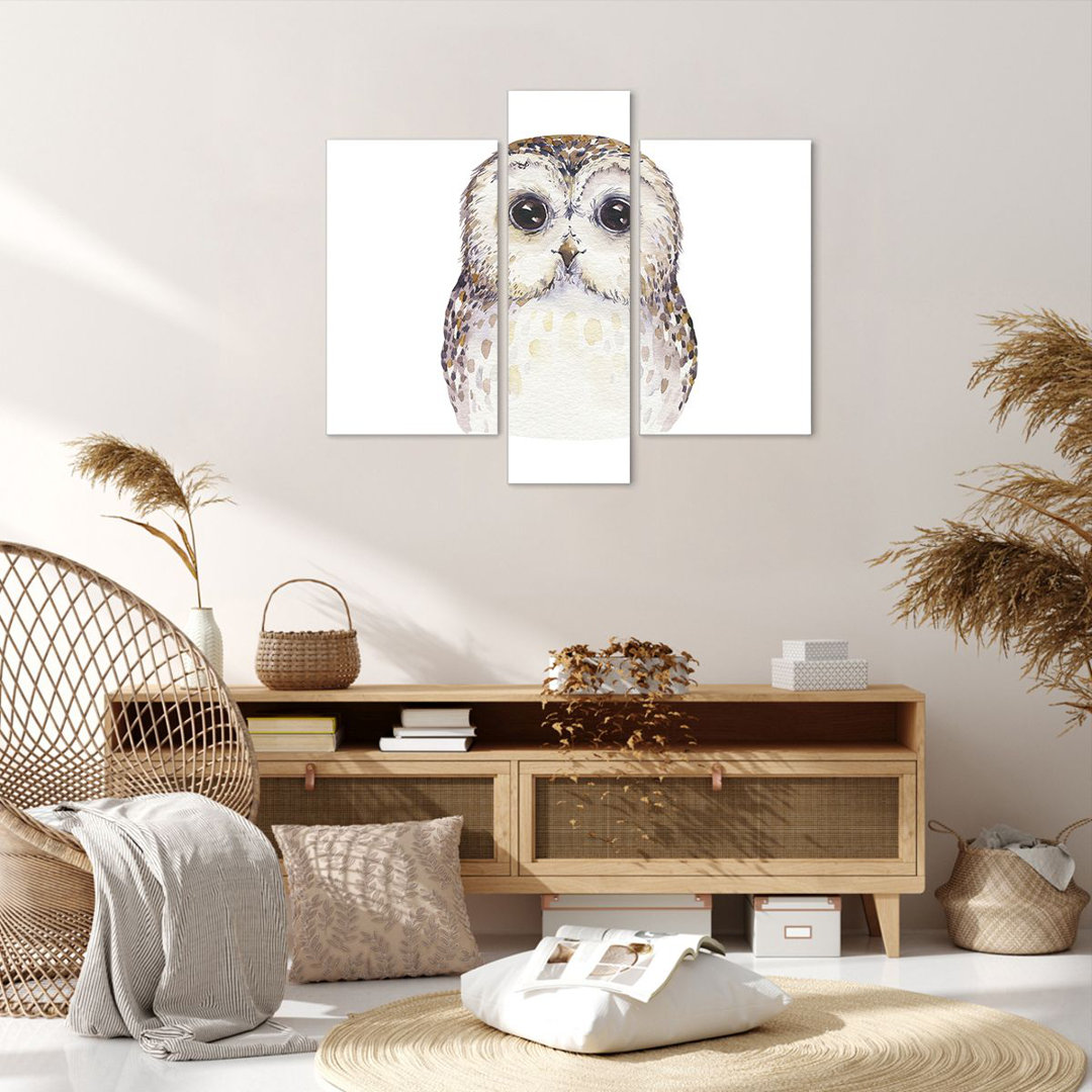 3-tlg. Leinwandbilder-Set Owl Tawny