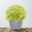 Arrangement d'hortensias lavande en pot synthétique-1553681561-1488260804