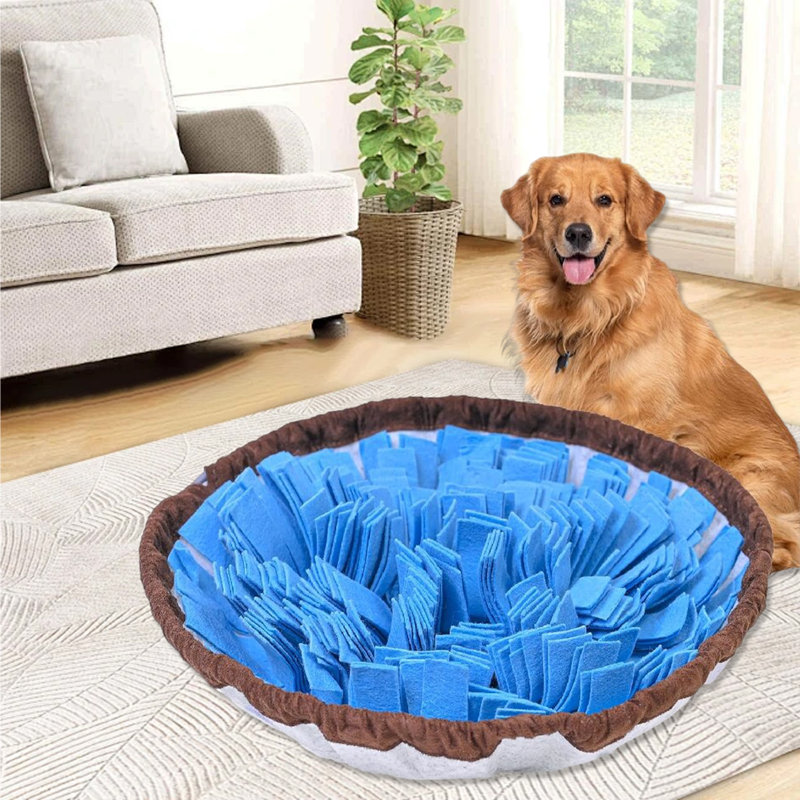 Tapis interactif pour animaux, Bleu