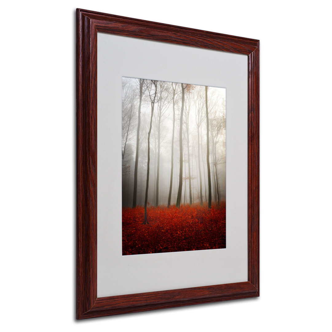 " Leafless " by Philippe Sainte-Laudy Millwood Pines Frame 