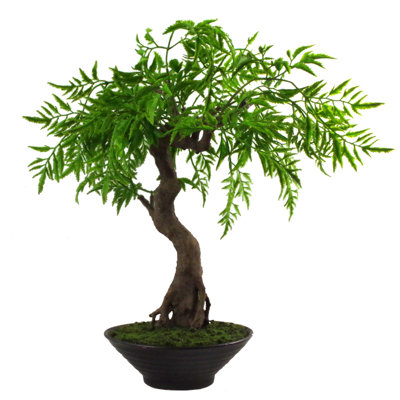 Anastassios 45cm Faux Bonsai Tree in Pot