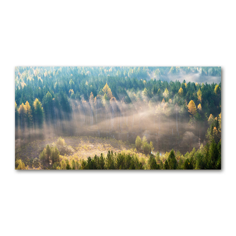 Fog In The Forest - Wrapped Canvas Print
