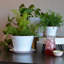Pot à fleurs Byntlee