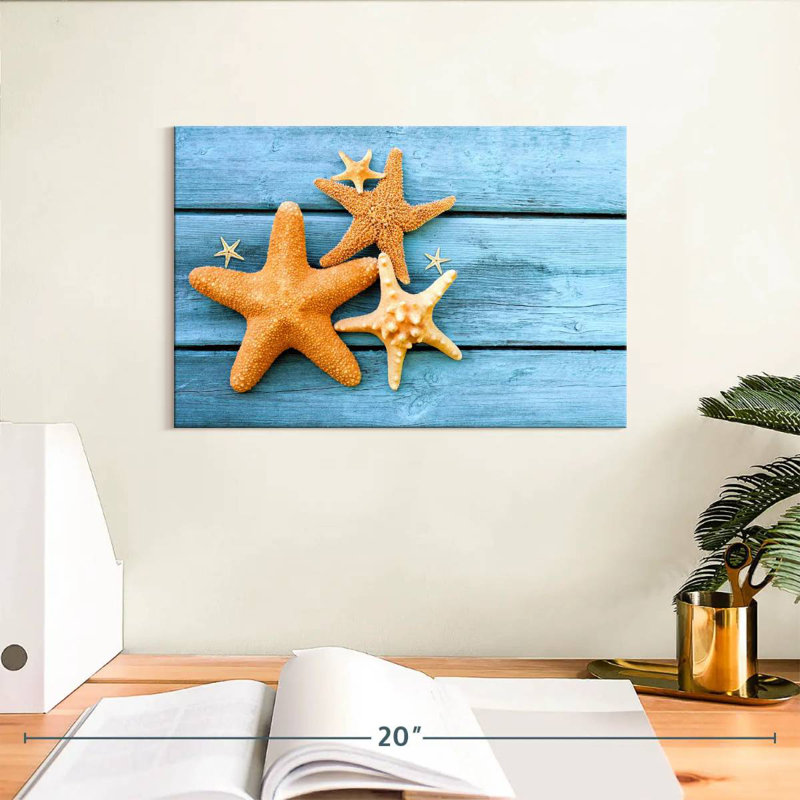 Starfish, H 8 po x l 12 po