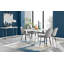 Chowchilla 4 - Person Dining Set-133097606-19923027
