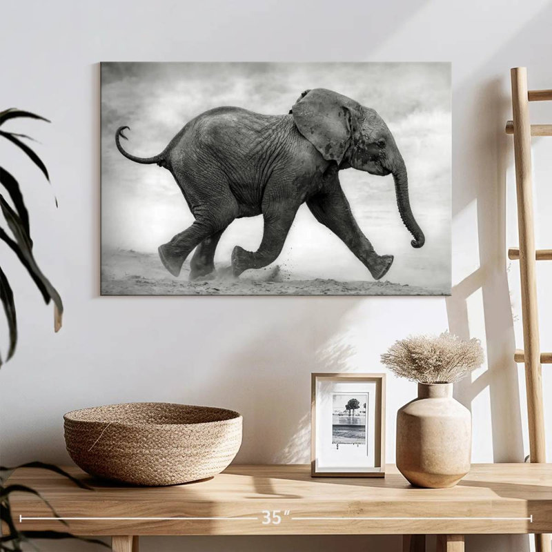 Bébé éléphant Brampt qui court, H 16 po x l 24 po