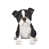 White & Black is out of stock selected