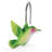 Shower Curtain Hook
