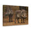 No Frame Print on Canvas-2111545003