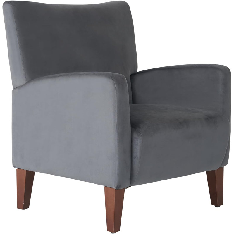 Swansboro Velvet Club Chair, Dark gray