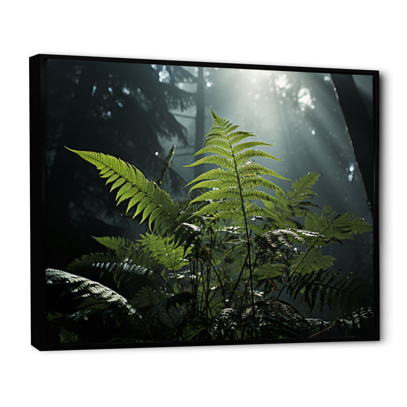 " Ferns Close Up Photo VII ", H 16 po x l 32 po, Cadre flottant noir