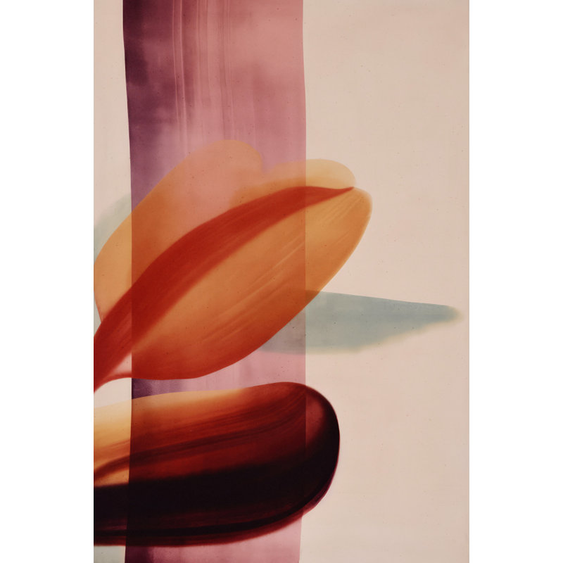 Wrapped Canvas Print, 50.8 cm H x 76.2 cm W