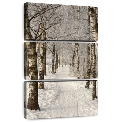 Alvord Birch Tree Lane