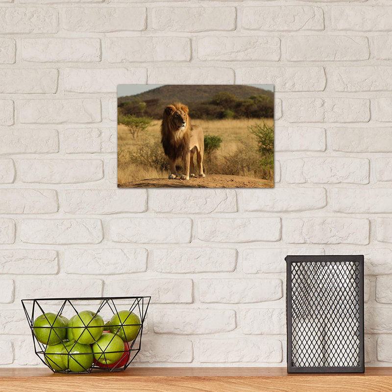 African Lion - Print on Canvas, 20.32 cm H x 30.48 cm W, Wrapped Canvas