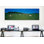 «Herd of Cows Grazing in St. Peter, Black Forest, Allemagne», reproduction de photo sur toile