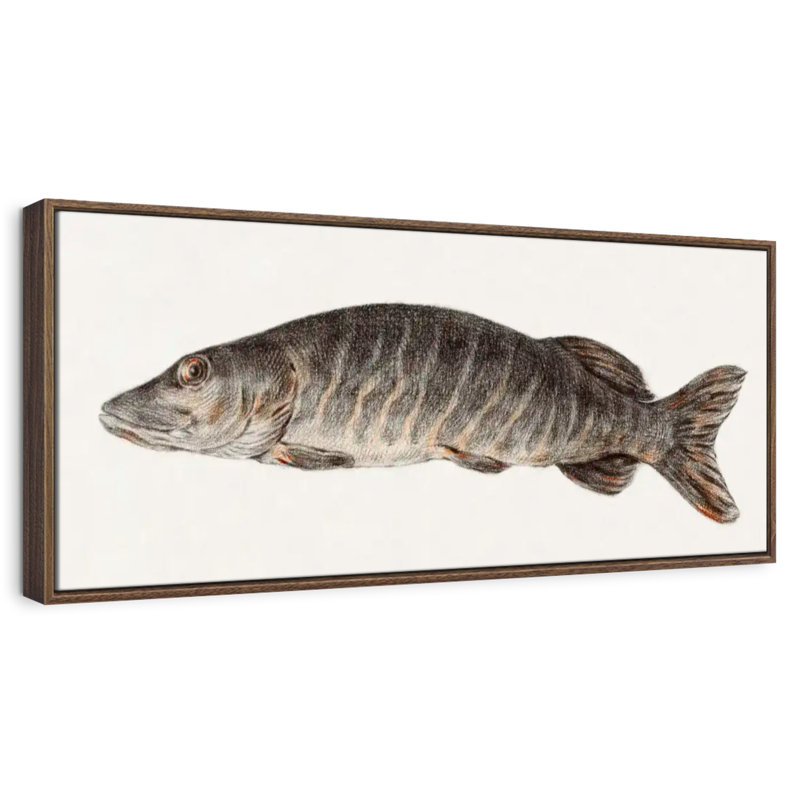 Brochet, 25" X 9", Floating Frame Walnut