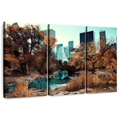 Sebbie Central Park Autumn Foliage