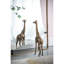 Miroir coquelicot 28x0,8x60