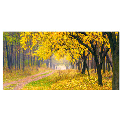 « brillante yellow automne forest », reproduction de photo sur toile tendue