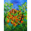 Provence Print by Pol Ledent-65859010-132454967