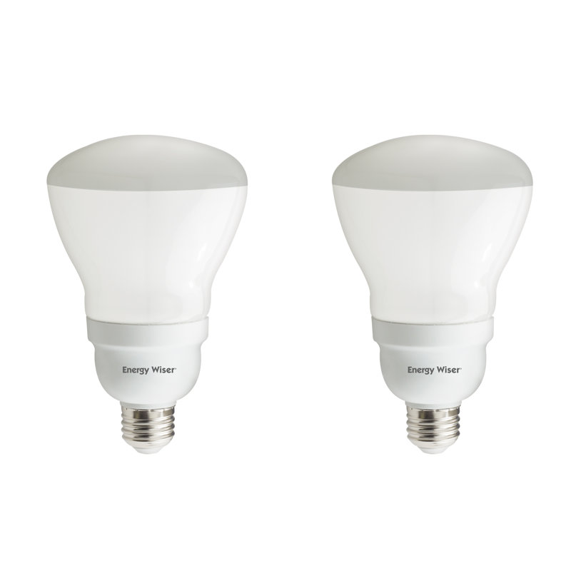 Ampoule fluorescente compacte 15 watts R30 de 15 watts (fluocompacte), culot moyen (standard) E26 (2700K)
