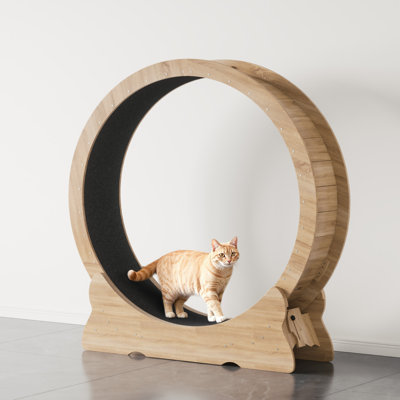 Roue d'exercice moderne 43,3 po