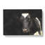 Peering Cow - Wrapped Canvas-56639870