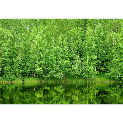 Murale forêt boréale reflétée dans la rivière