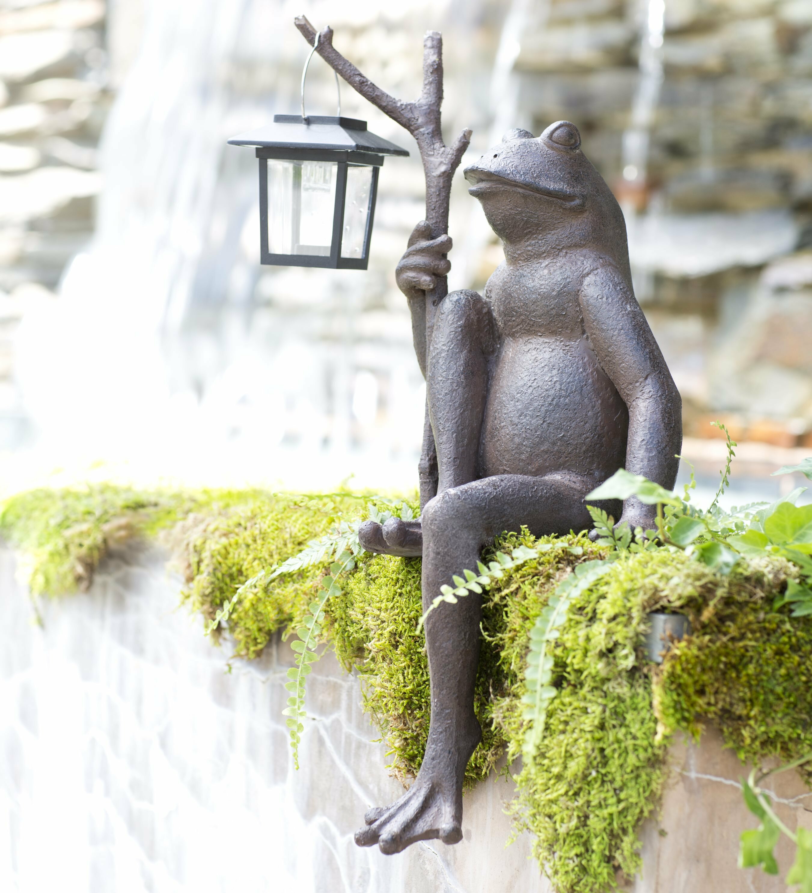 Wind & Weather Frog Animals Weather Resistant Plastic Garden Statue &  Reviews